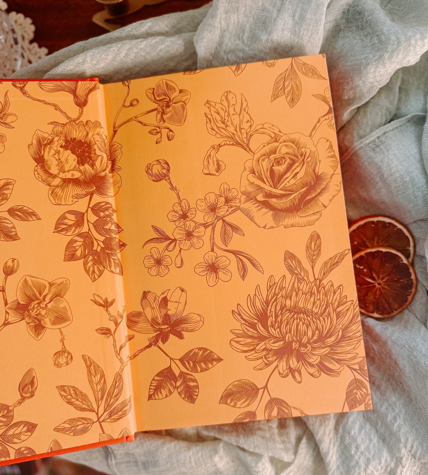 Phantasma (Deluxe Limited Edition) By: Kaylie Smith