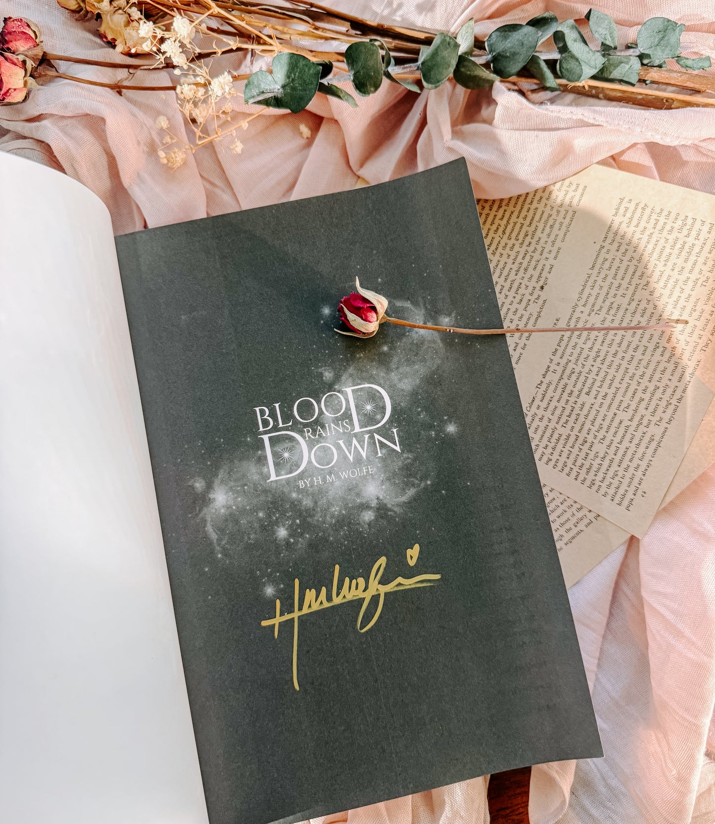 Blood Rains Down By: H.M. Wolfe SIGNED