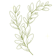 background shape